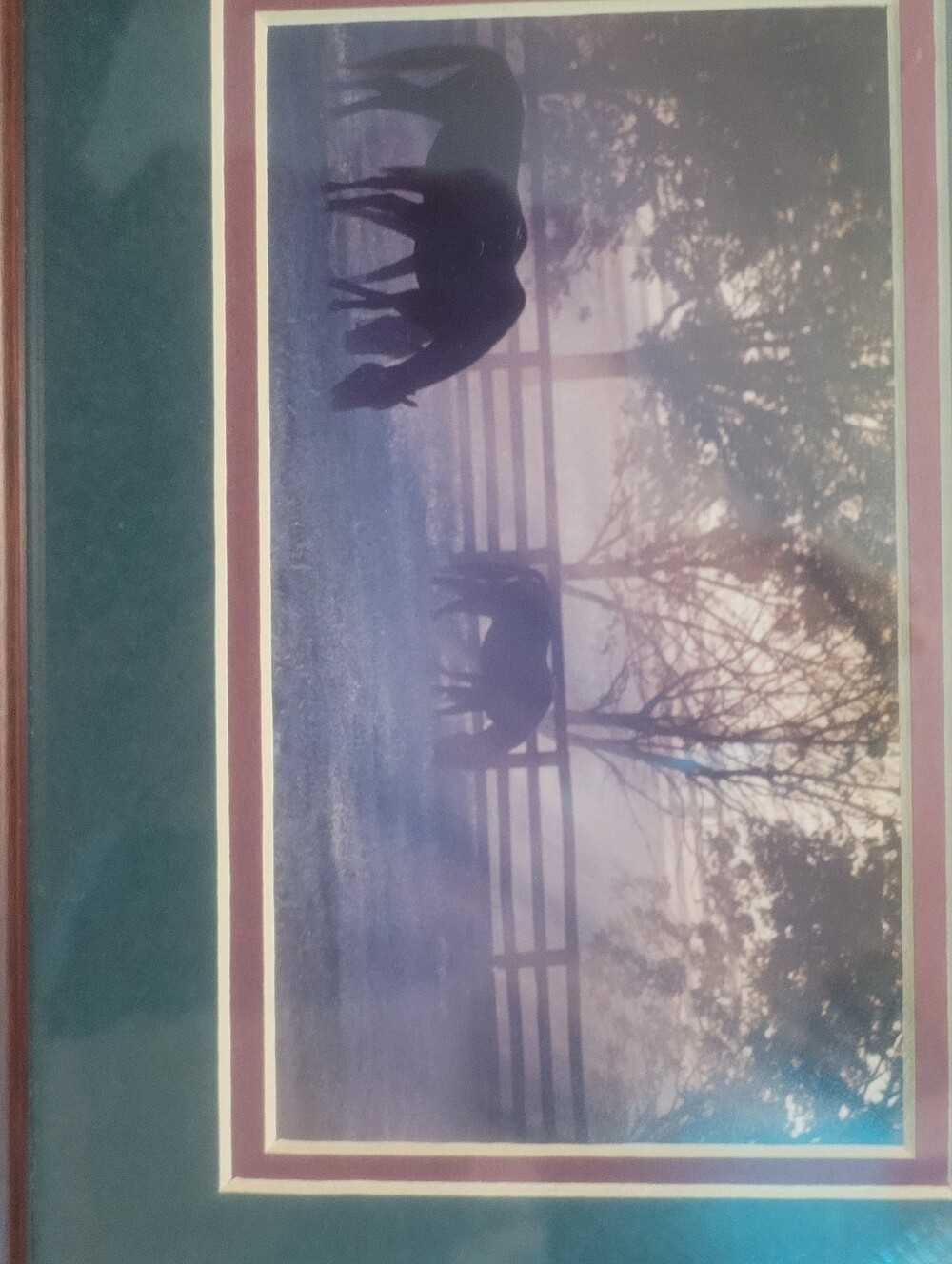 Framed print "Kentucky Morning Turnout" photographer John Stephen Hockensmith - Picture 14 of 16
